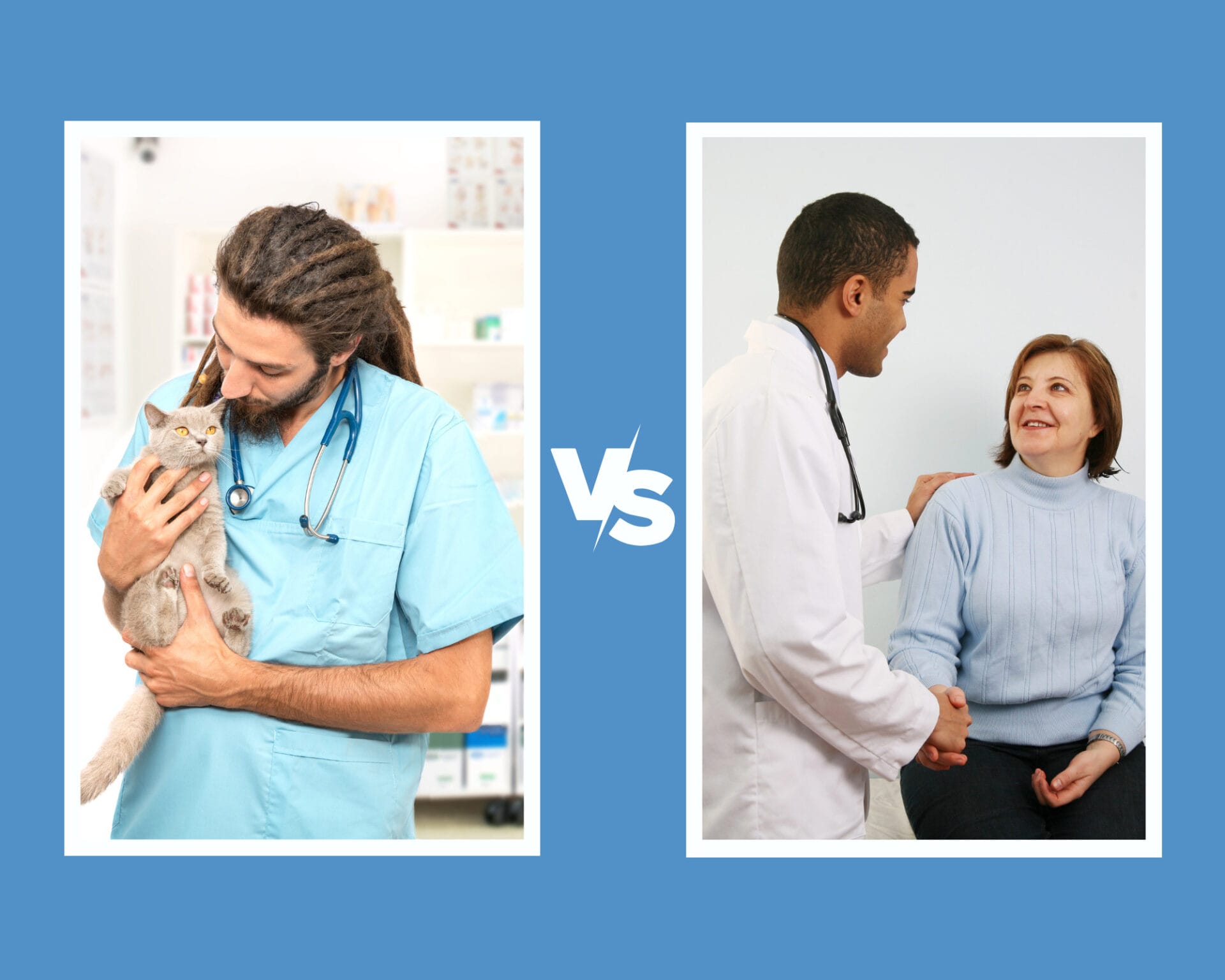 Veterinary vs Medicine: Which one is the right one for you?